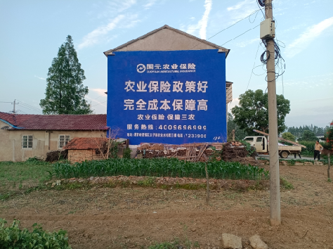 青神墙体广告的优劣势你知道吗？